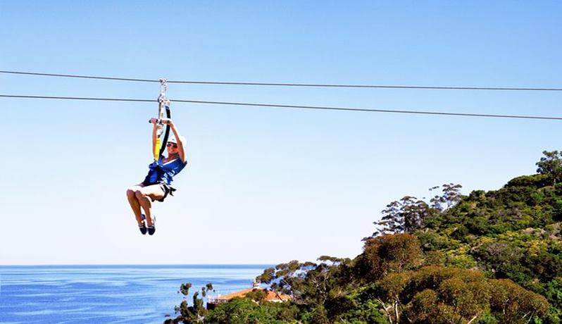 Catalina Island Tour with Zip Line Experience - Image 3